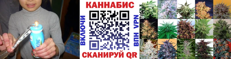 Бошки Шишки MAZAR  наркотики  блэк спрут зеркало  Невель 